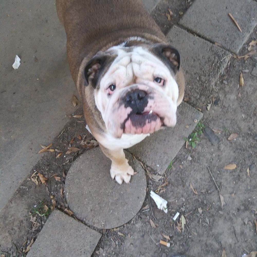 Meet your Posher, Ramon